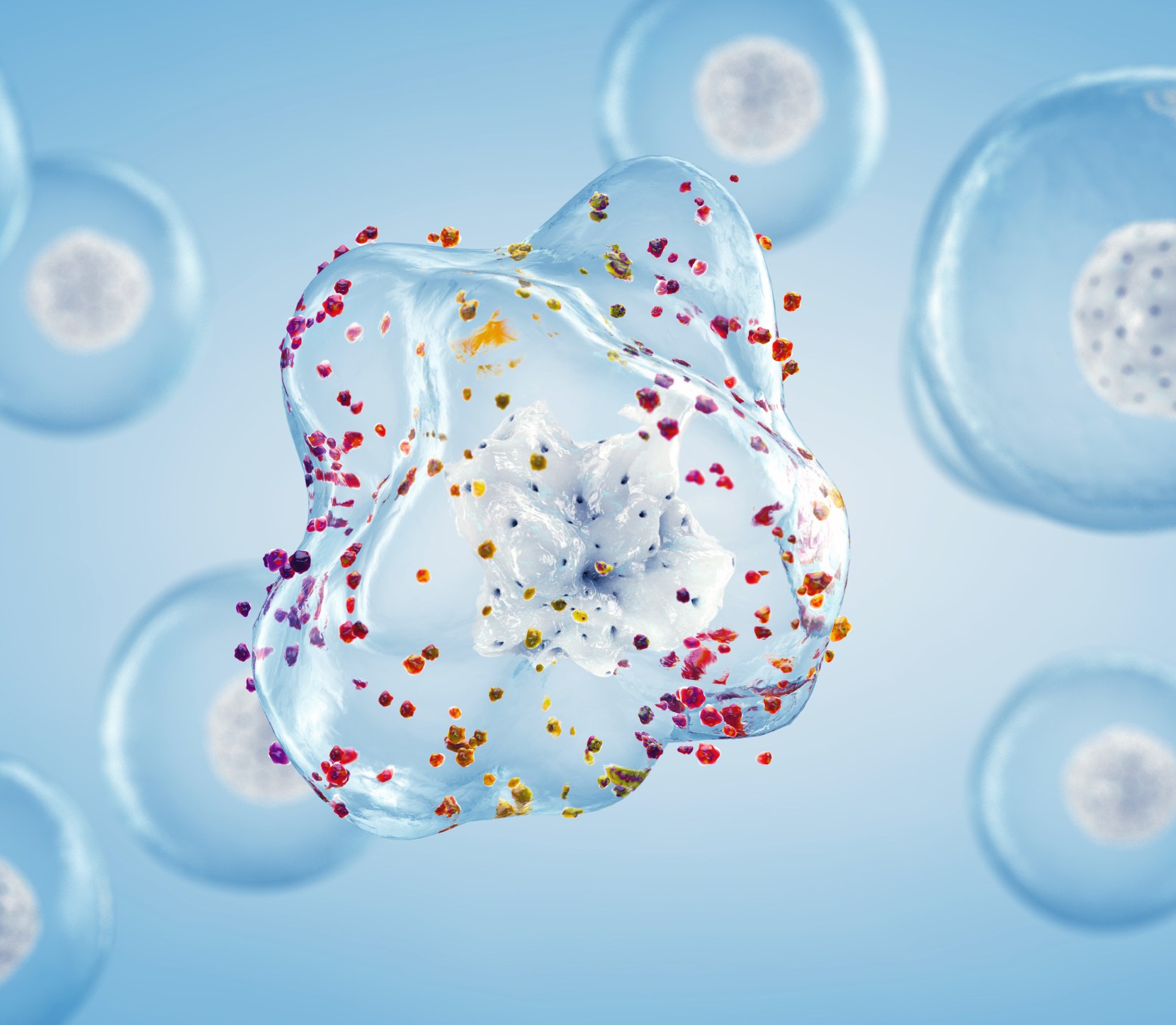 Our Services new right image